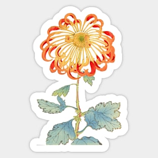 Red and Gold Chrysanthemum 2 - Hasegawa - Traditional Japanese style - Botanical Illustration Sticker